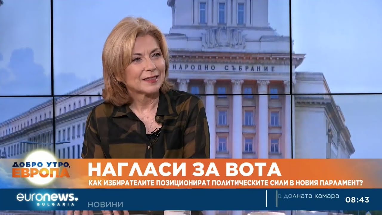 Боряна Димитрова, Алфа Рисърч: Всички партии търпят щети от появата на новия проект на Радев