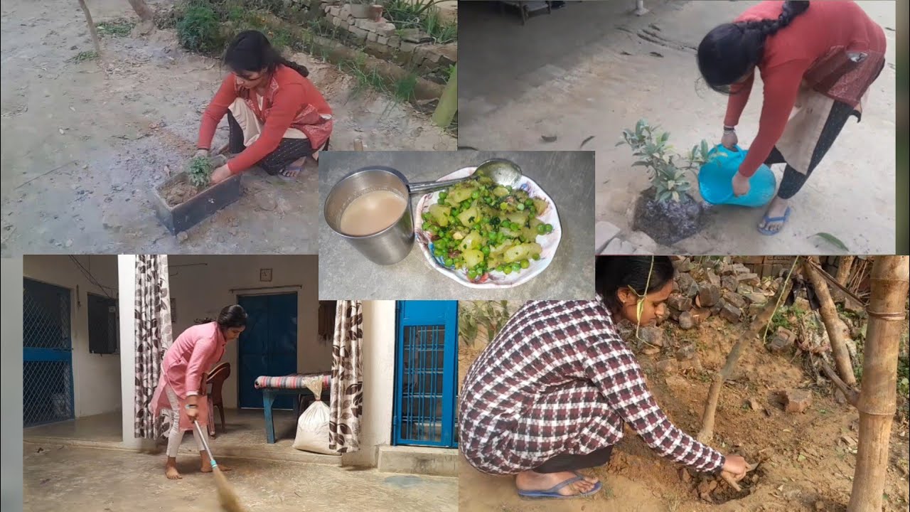 गाँव🏕कि सुहानी सुबह🌄और ठंढ के मौसम 🥶का नास्ता😋...#suhanisubah#long#vlog.