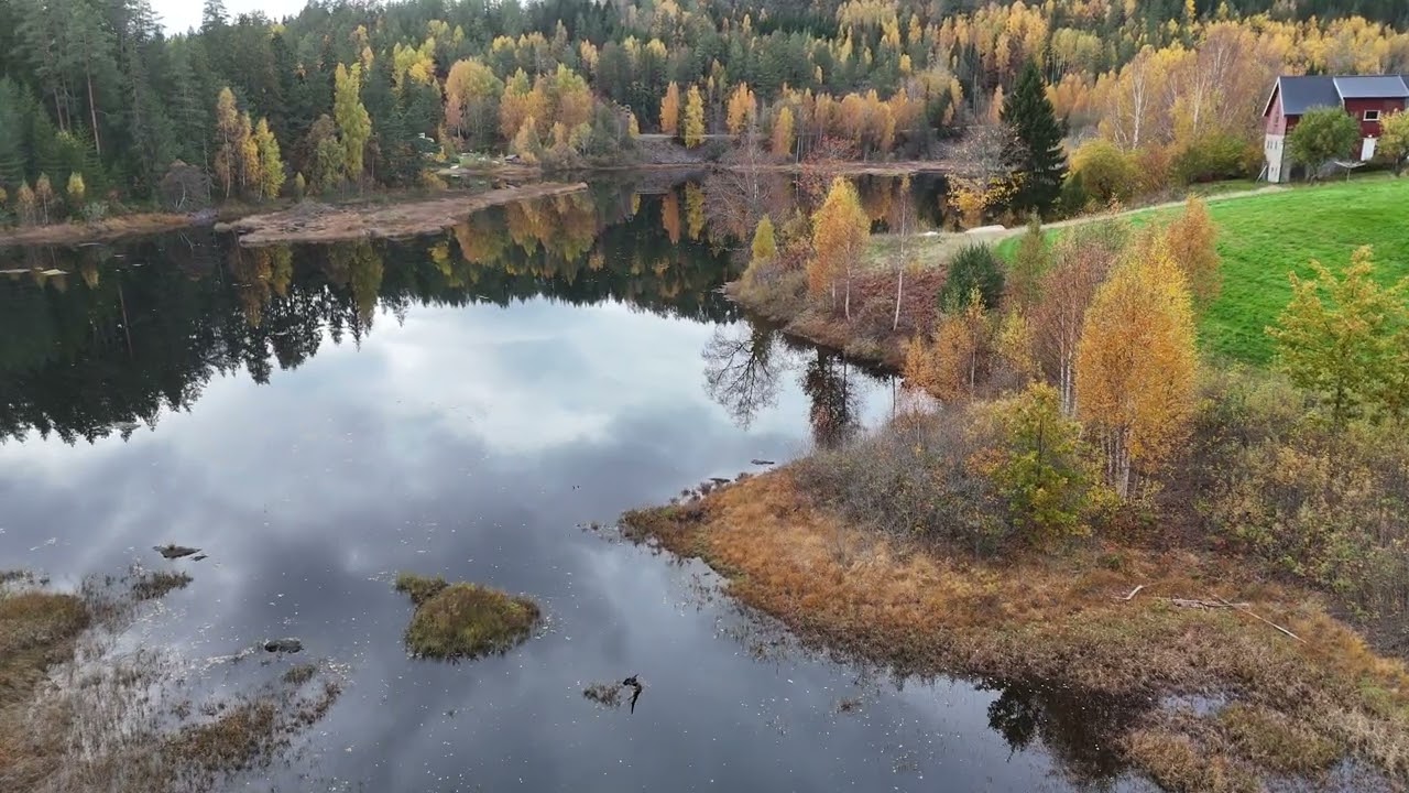 Henneseid i Drangedal