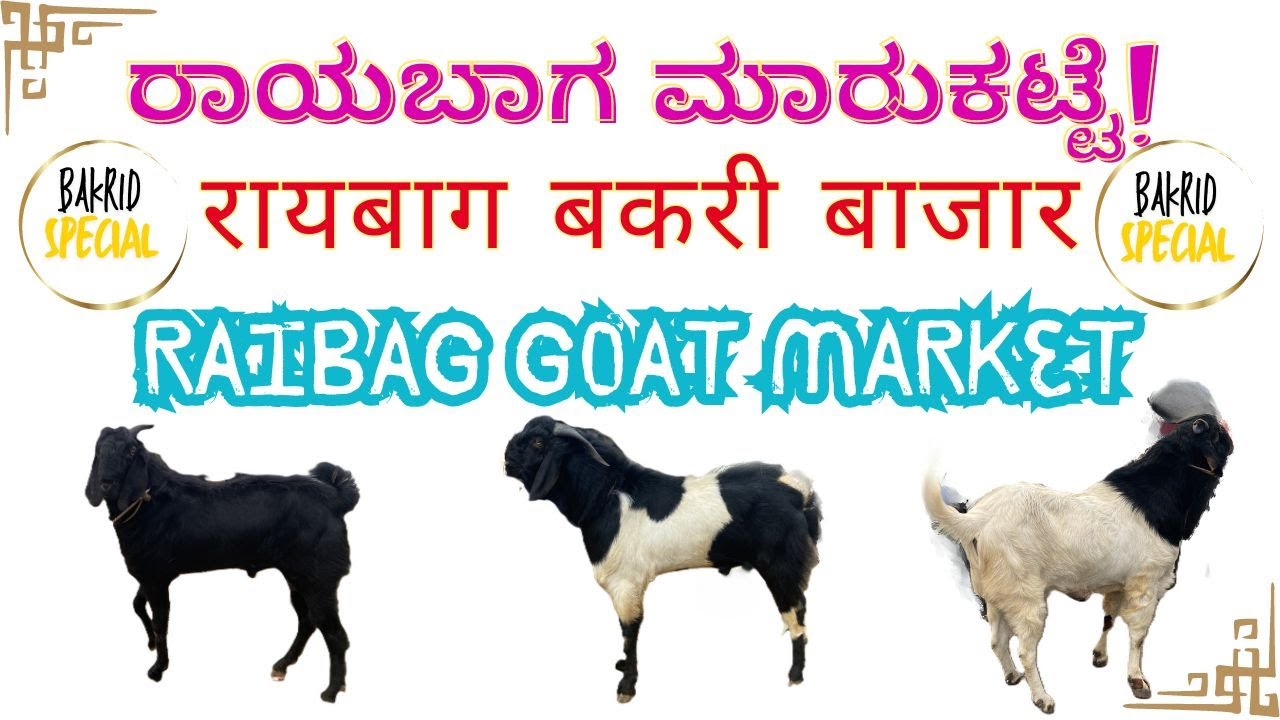 RAIBAG GOAT MARKET | RAIBAG BAKRA MANDI | ONE OF THE BIGGEST BAKRA MANDI