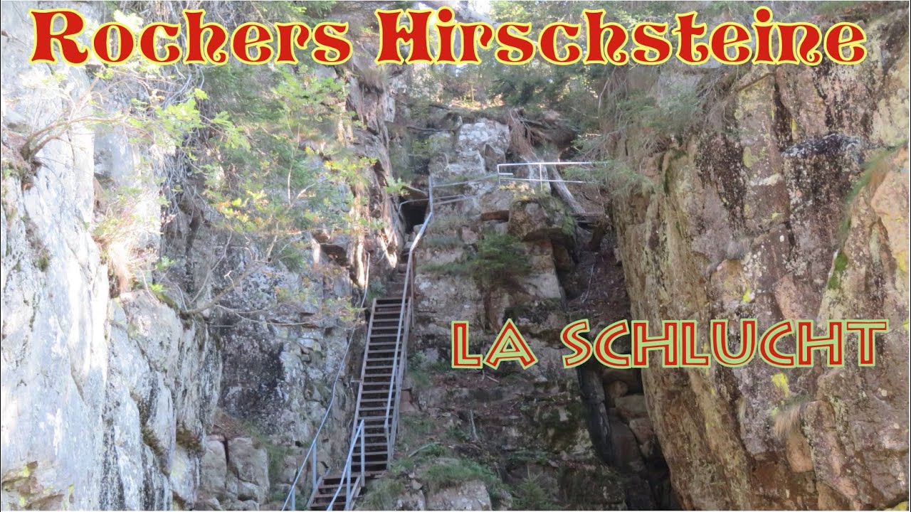 👍👍 Rochers des Hirschsteine + Chamois (+527m) ❤️❤️ Col de la Schlucht, Le Valtin [Vosges]