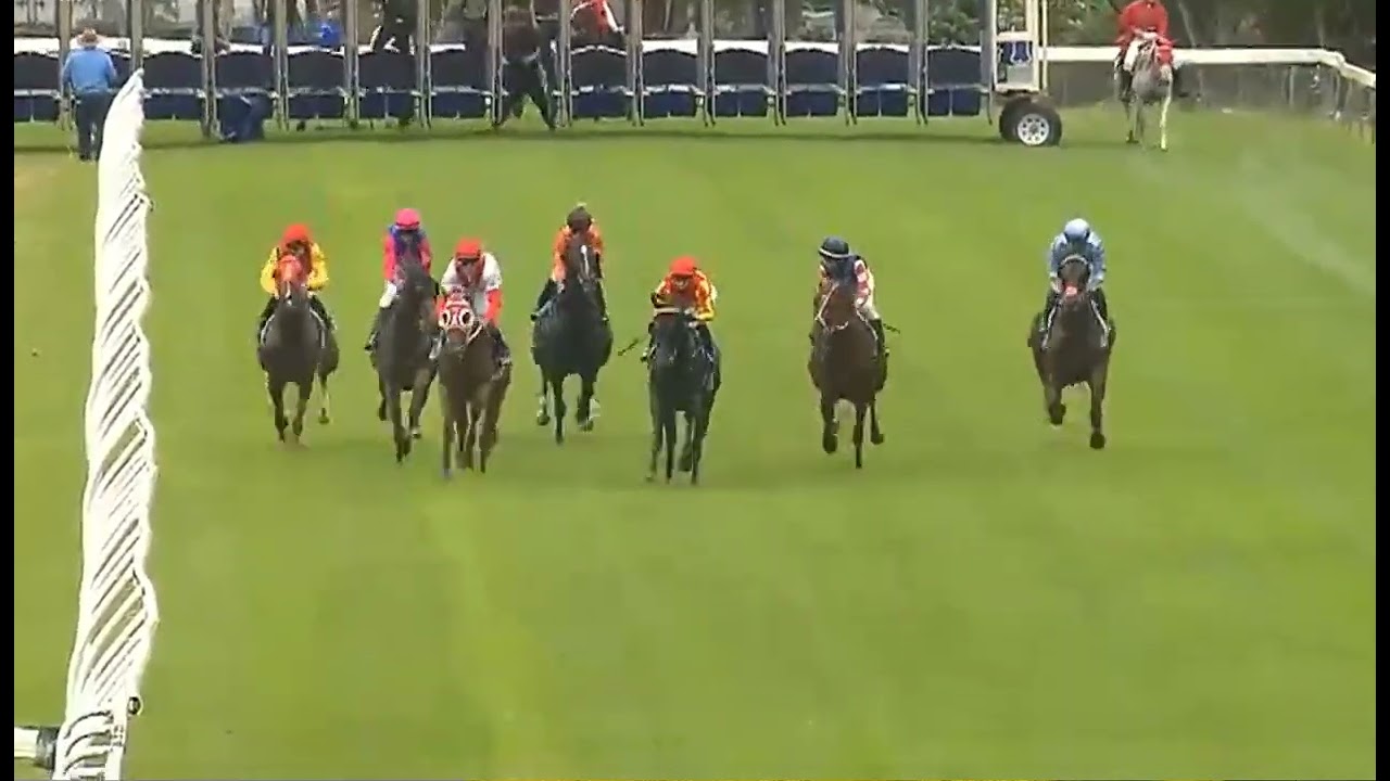 R2 – ТАРИ – АВСТРАЛИЯ 03 МАРТА 2026 ГОДА