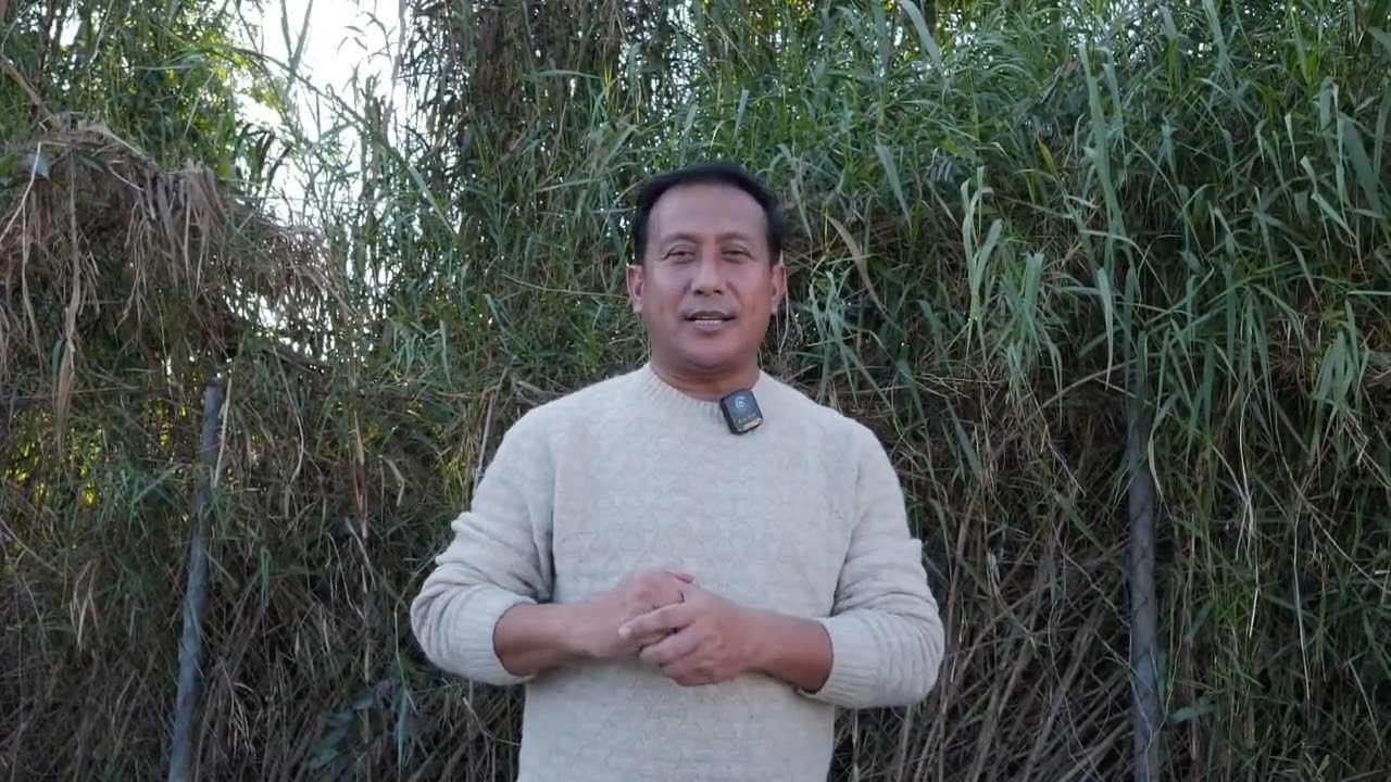 COCOMI na Silliba  Khongchat Asida Meeyamsu Saruk Yabinaba Appeal Tourakli || Sadananda Hamom 