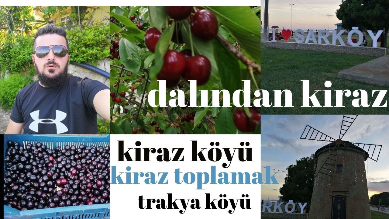 çınarlı  köyü  . kirazli köyü . tekirdağın  kiraz başkenti  çınarlı kiraz bahçeleri