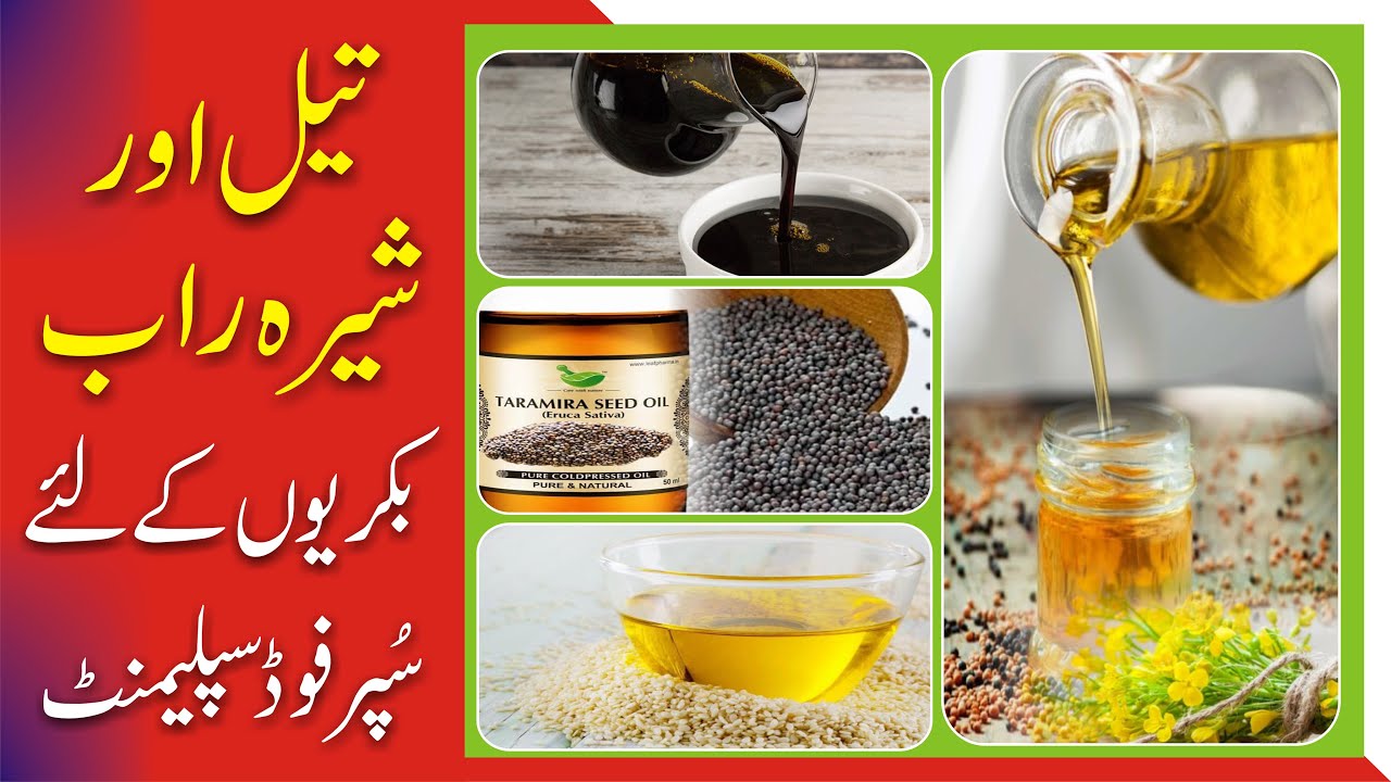 Oil and Molasses Super Food Supplement For Goat || تیل اور شیرہ راب بکریوں کےلئے سُپرفوڈ سپلیمنٹ