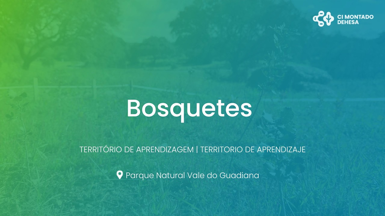 Vídeo Técnico: Bosquetes | CI Montado-Dehesa