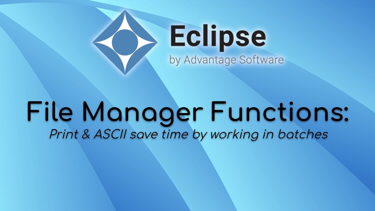 File Manager Functions: Print & Ascii