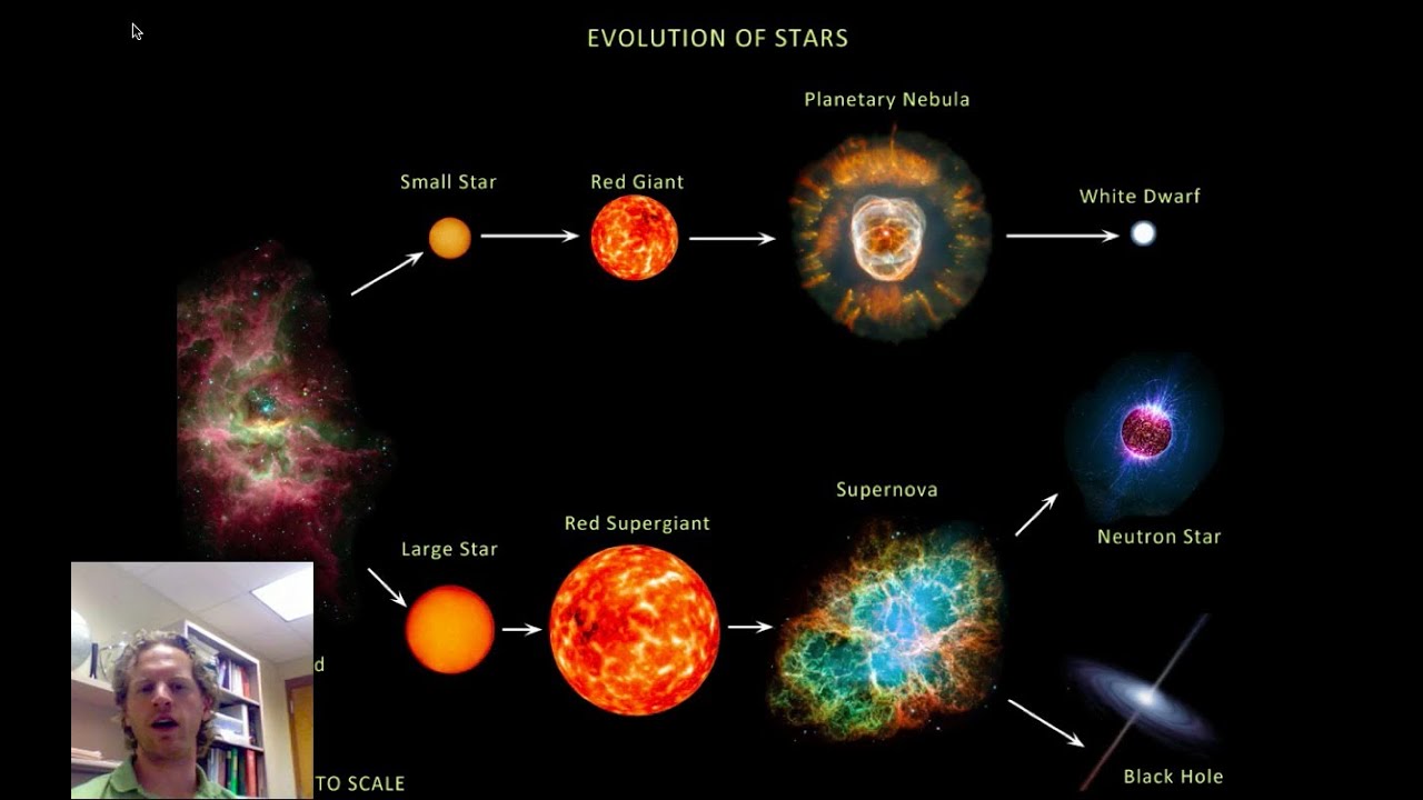 White Dwarfs, Neutron Stars, and Black Holes