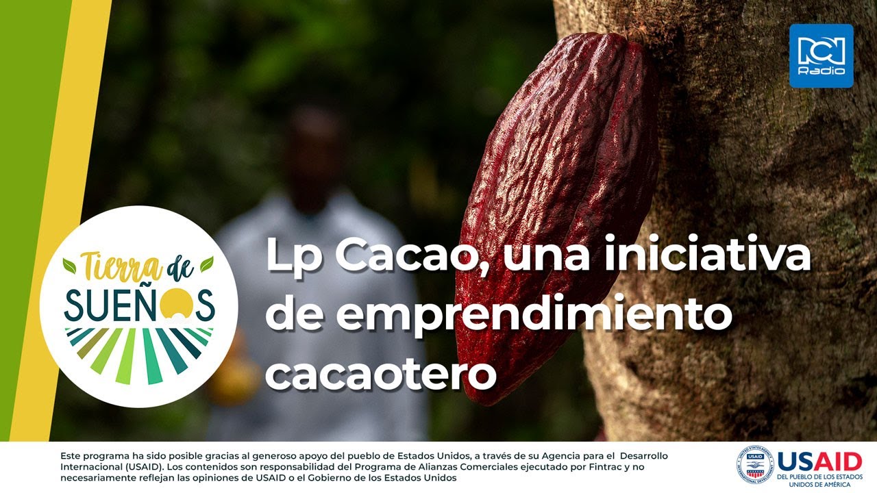 Lp Cacao, una iniciativa de emprendimiento cacaotero