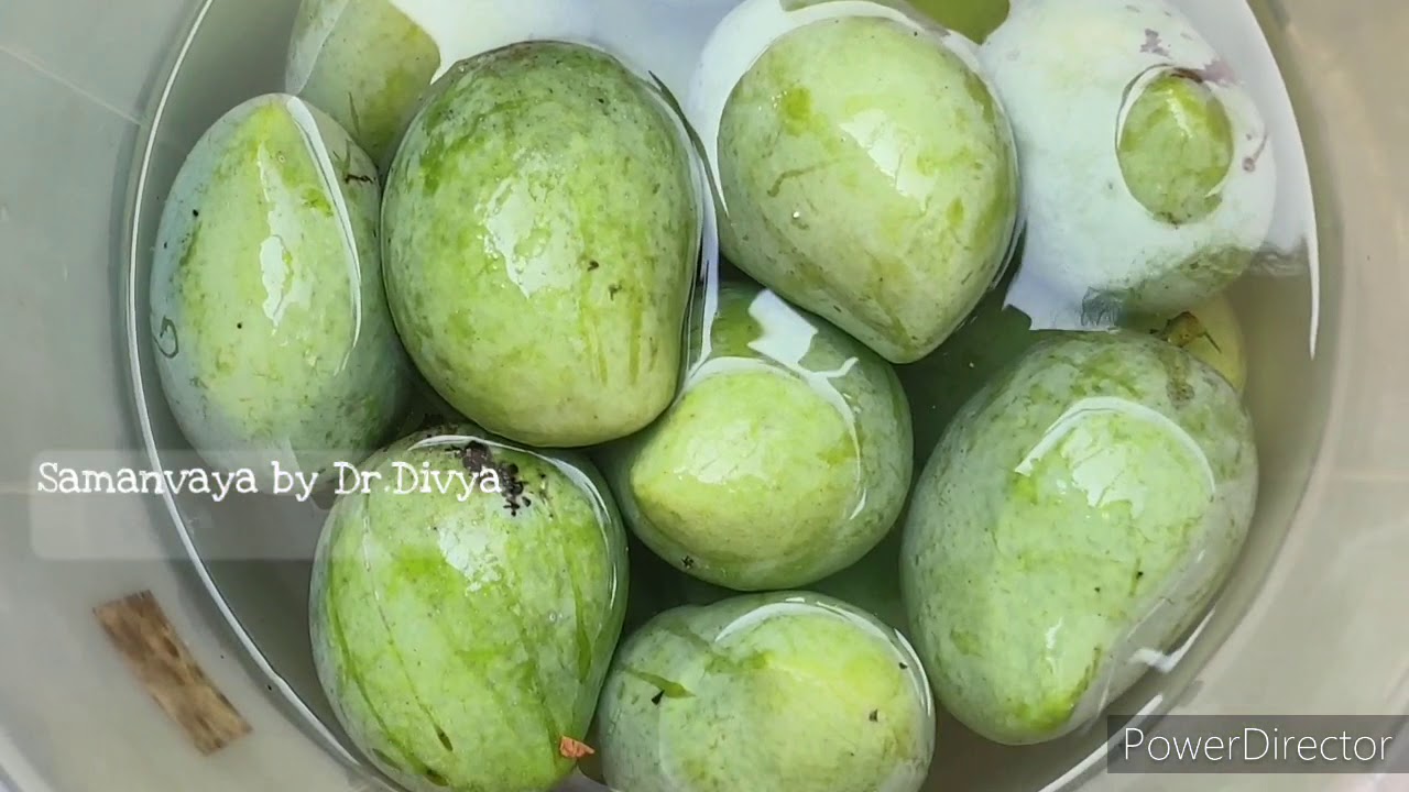 മാങ്ങ പുഴുവില്ലാതെ  എങ്ങനെ പഴുപ്പിക്കാം!How to protect mangoes from worm/insects?