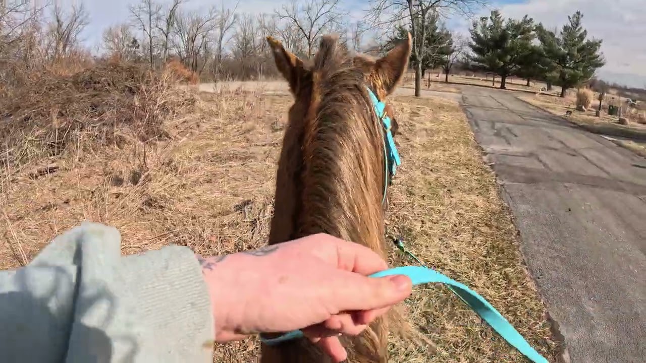 I love my pony pt 2 2/10/26