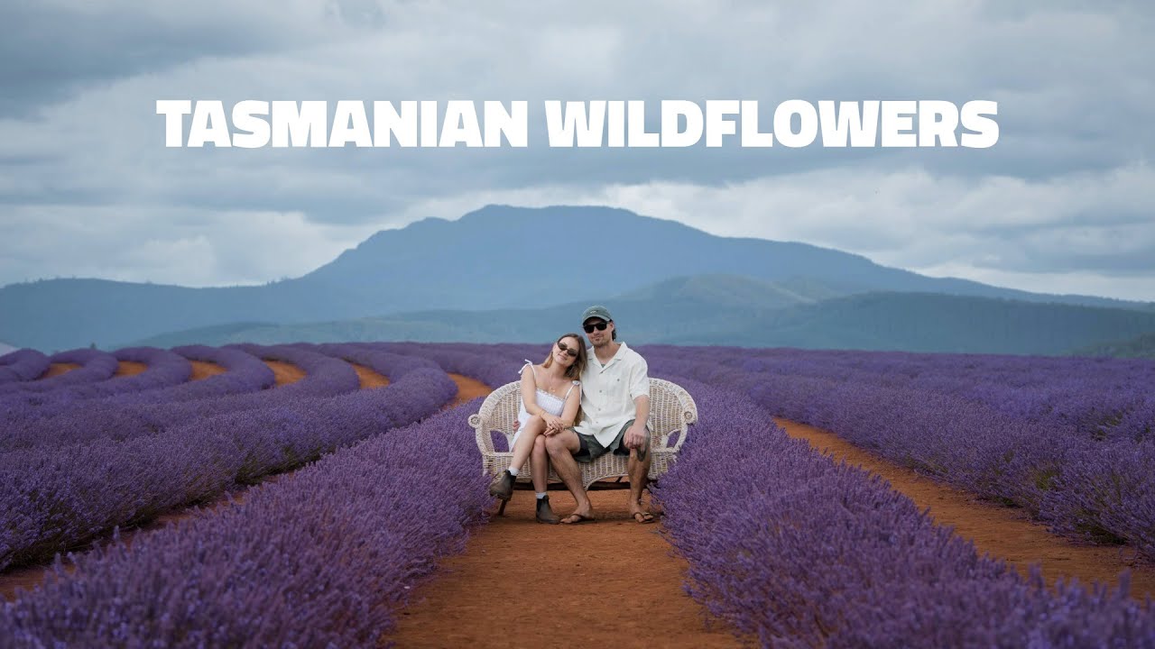 CENTRAL HIGHLANDS TASMANIA | Searching For Wildflowers & Platypus!