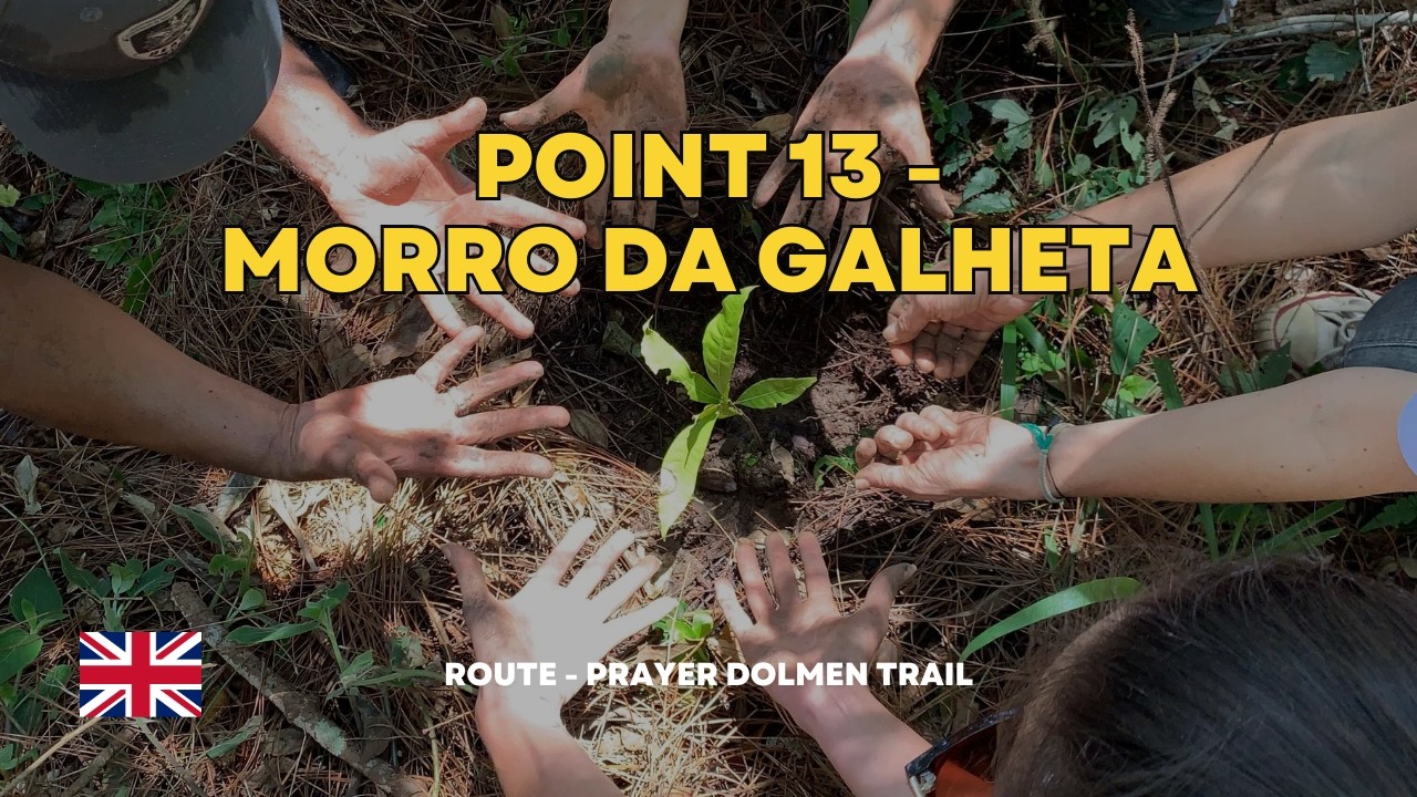 🌿 Morro da Galheta — ancestral memory and nature restoration 🌿