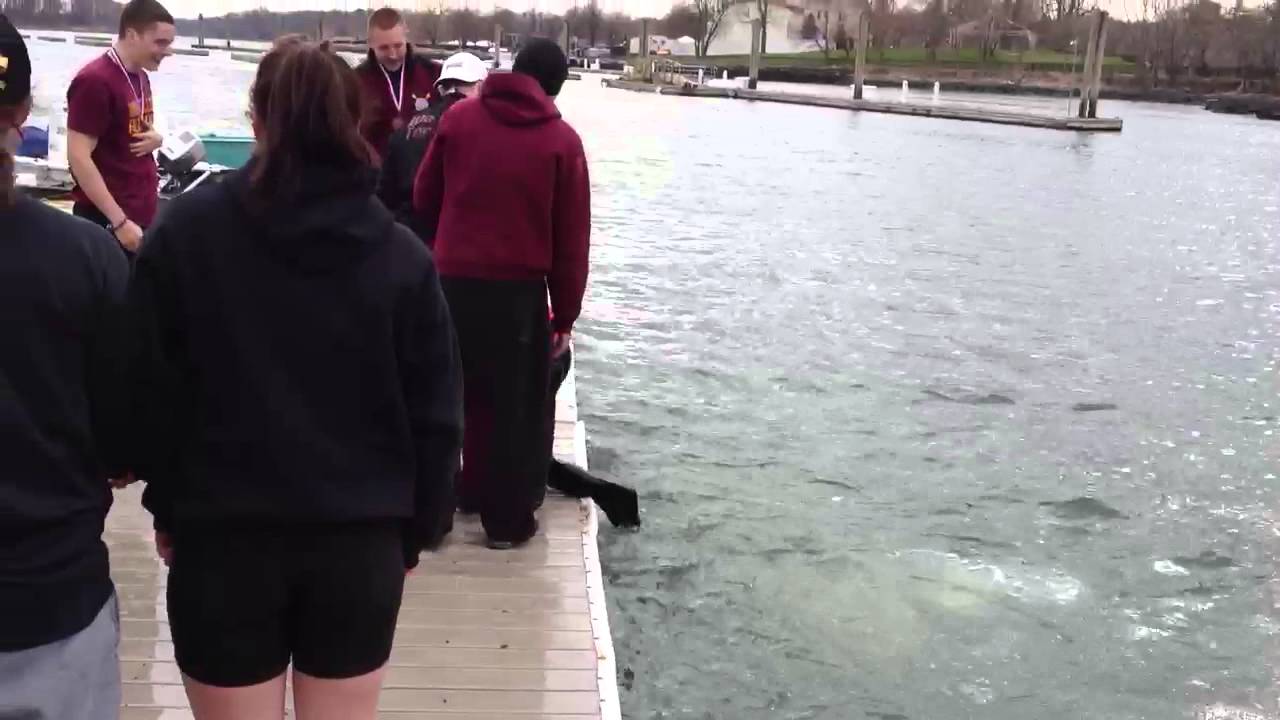 Coxswain Toss
