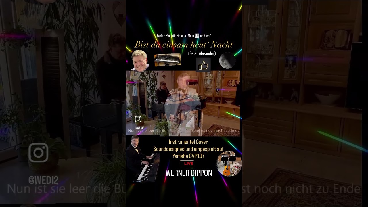 Bist du einsam heut Nacht - Instrumental - WERNER DIPPON