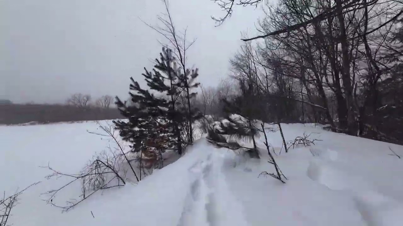 Stormy Chestnut Ridge