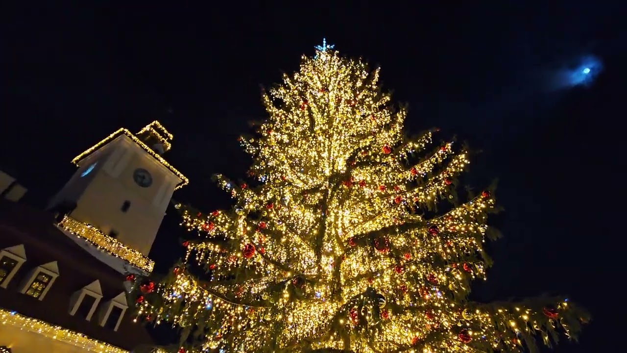 Brasov, Targul de Craciun, 04.12.2025, Brad natural de 31m.