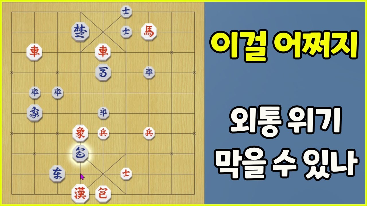 대위기!!! 외통수 막을 수 있을까? (슈이비닝 장기)