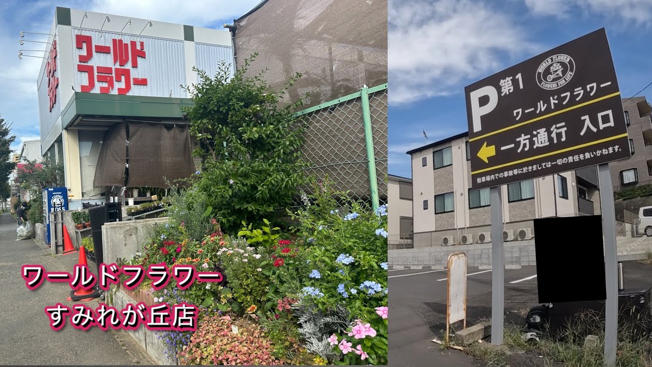 【ワールドフラワー すみれが丘店】都筑区　切花 鉢花 蘭 観葉植物 苗 花束