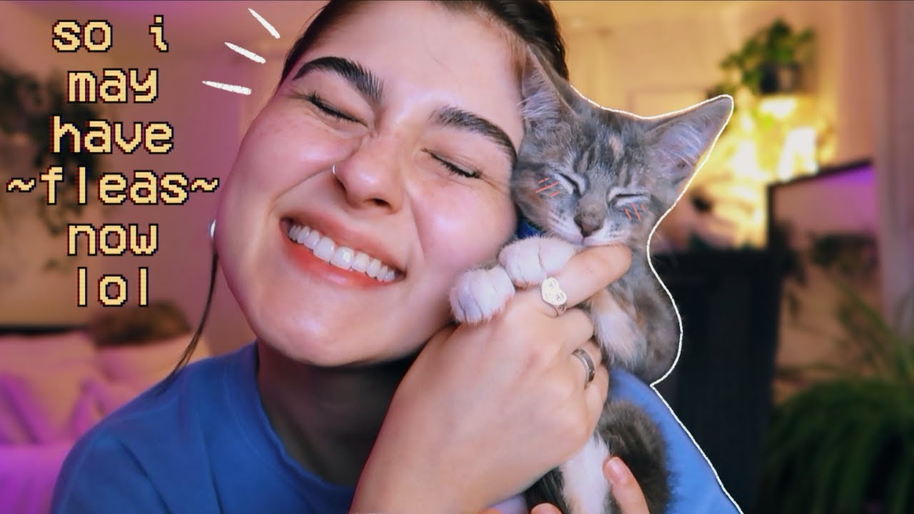 i adopted a kitten to avoid my problems.