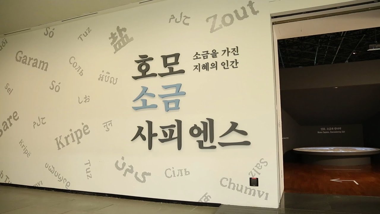 특별전 호모 소금 사피엔스-소금을 가진 지혜의 인간