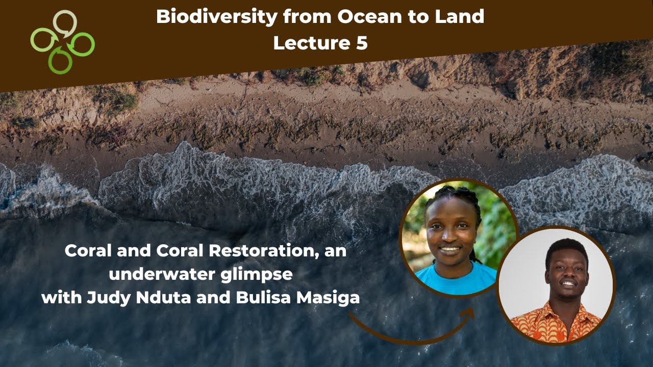 Coral and Coral Restoration, an underwater glimpse.
