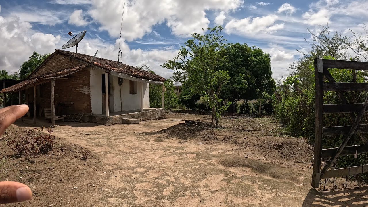 SÍTIO DO ZÉ BEM TRATADO AGORA 