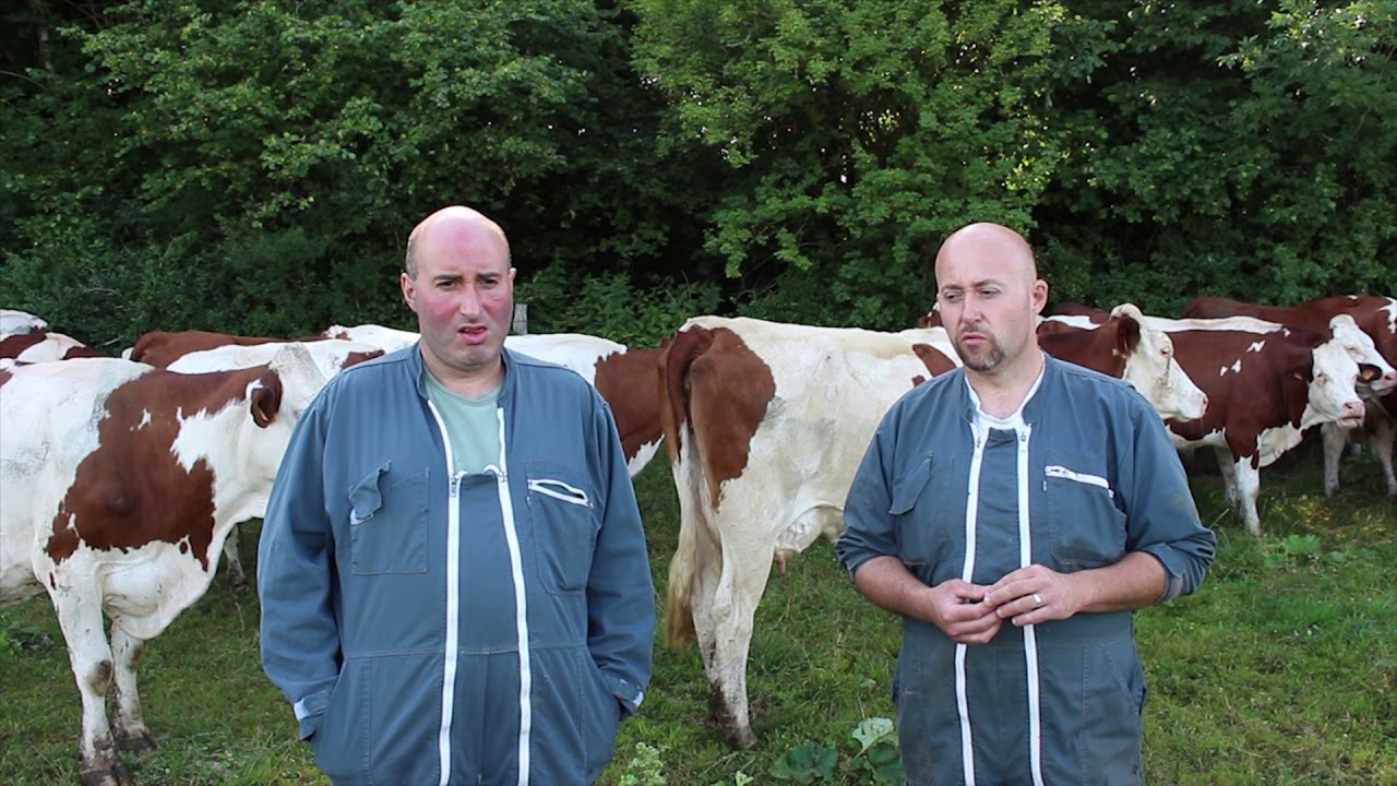 Pour votre élevage bovin lait