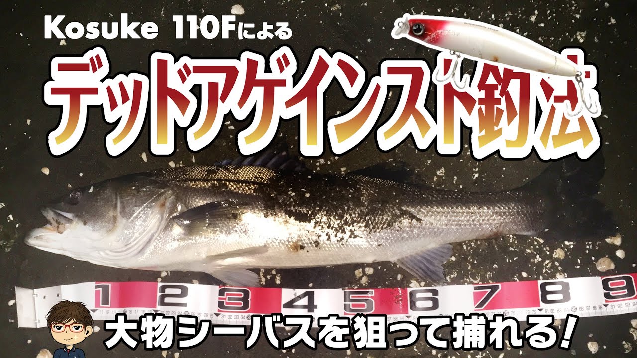 【シーバス】大物シーバスを狙って捕れる！ kosuke 110Fによるデッドアゲインスト釣法！