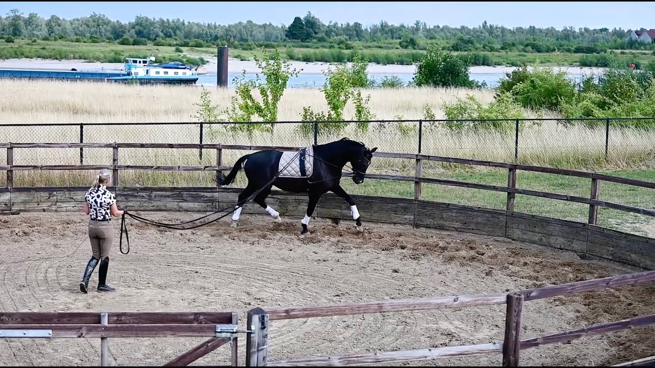 Longeren met dubbele longe