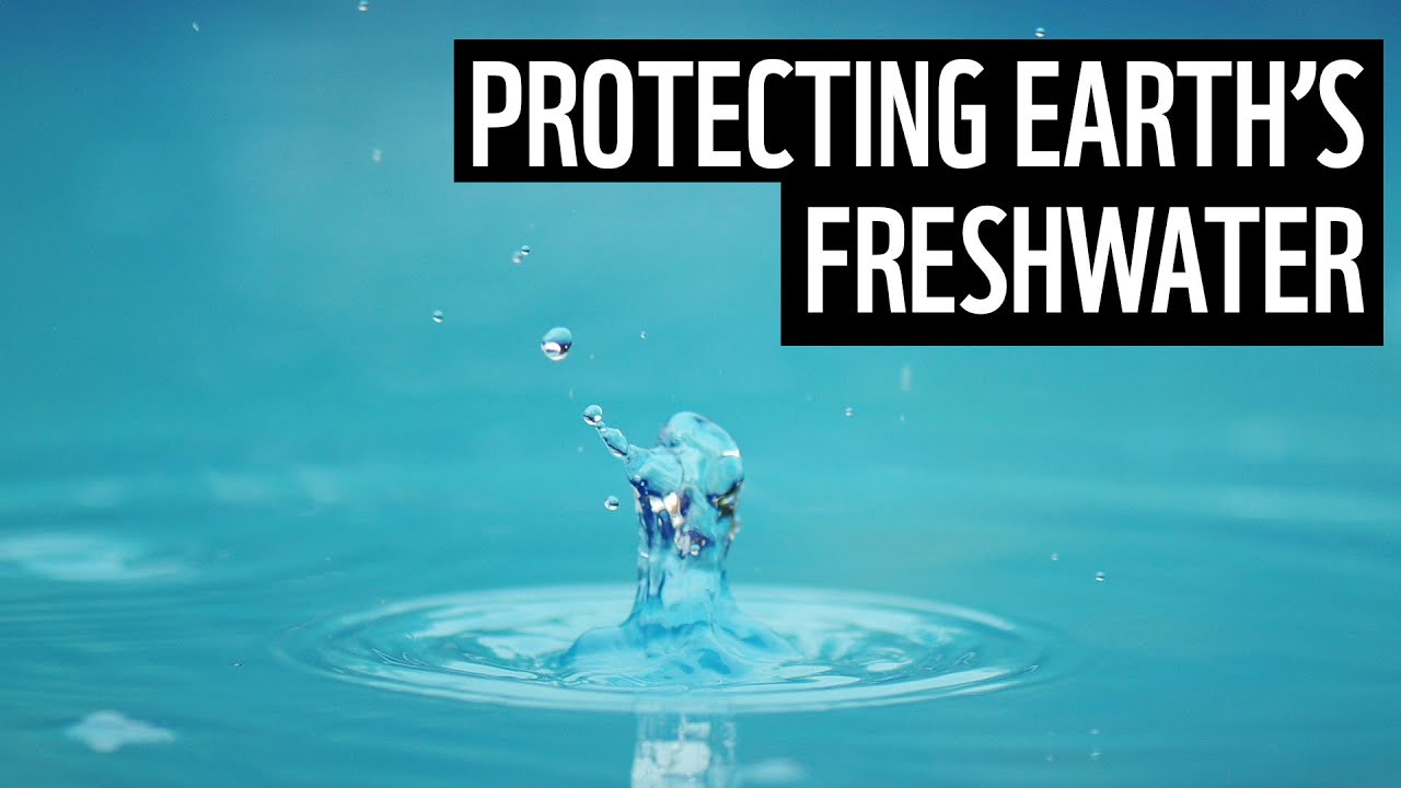 Helping to protect freshwater | Future Visions | WWF