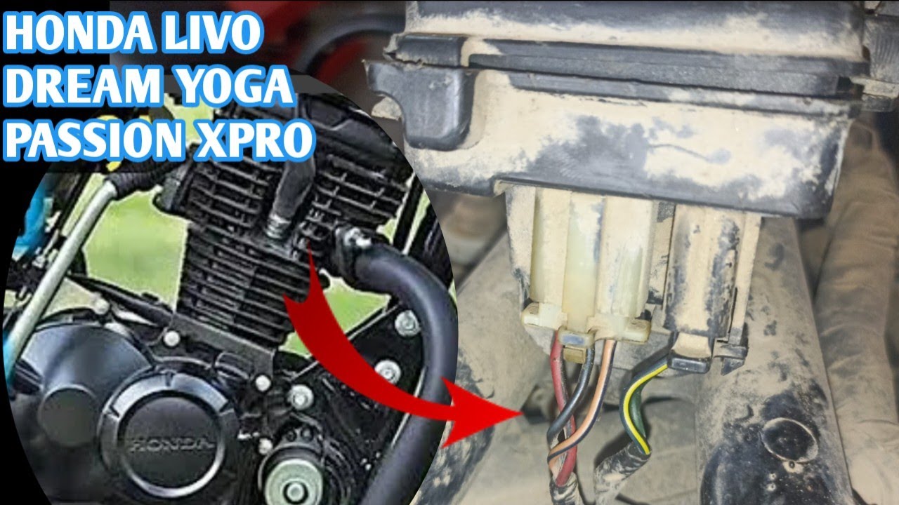 honda livo CDI wiring details /xpro /dream yoga moon auto