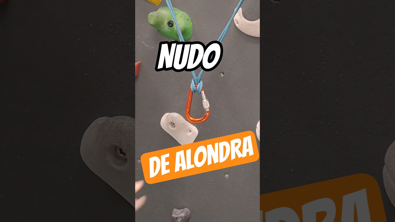 NUDO DE ALONDRA