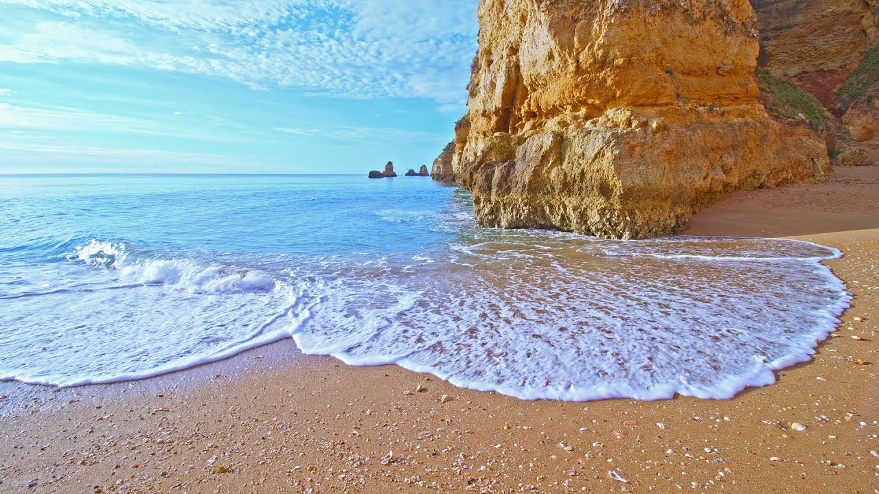 Sweet Morning Waves To Wake Up With Jingle Seashells Sounds And Birds Chirping, Super Relaxing
