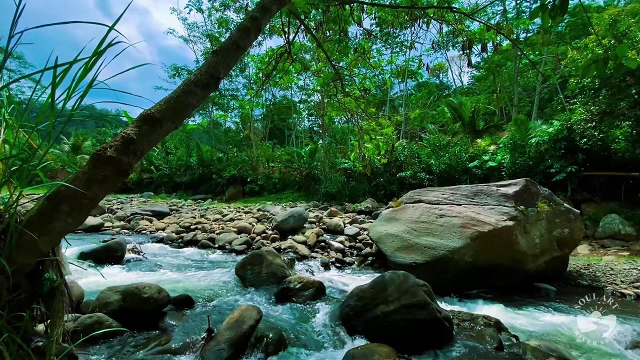 River Sounds & waterfall Sounds for Sleeping | Nature Stream for Relaxing & Stress Relief. #river 3
