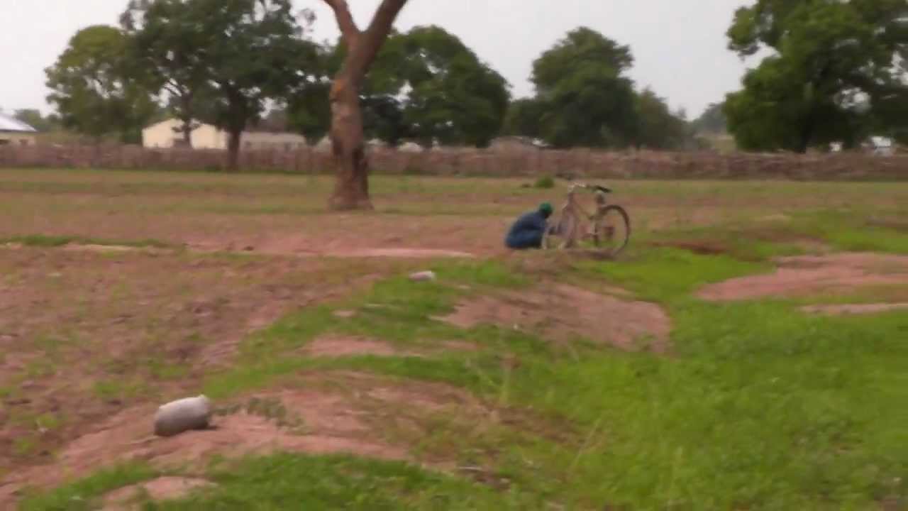 sabi field tree planting 2012