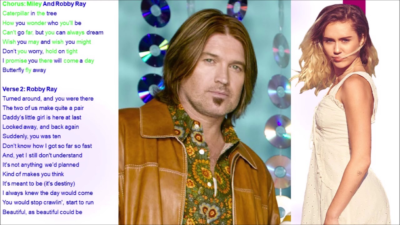 Butterfly Fly Away Album Version Hannah Montana Lyrics