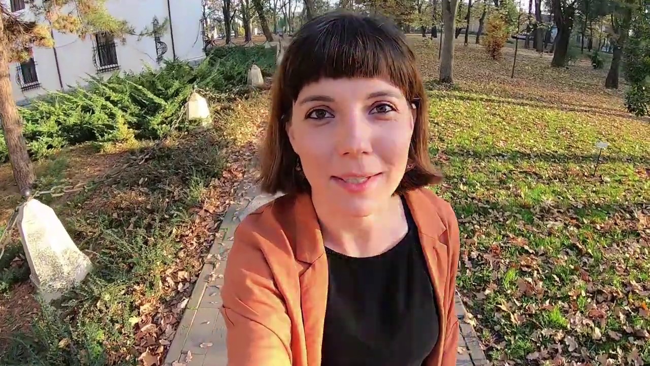 Lépten-nyomon Nagykárolyban: Károlyi-kastély, Kaffka Margit szülőháza, a bibliafordító Károli Gáspár