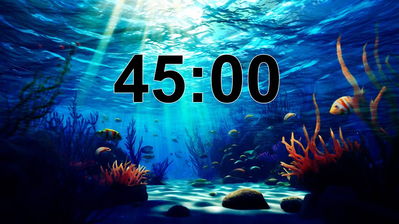 45 Minute Timer | Magical Underwater World 🐠