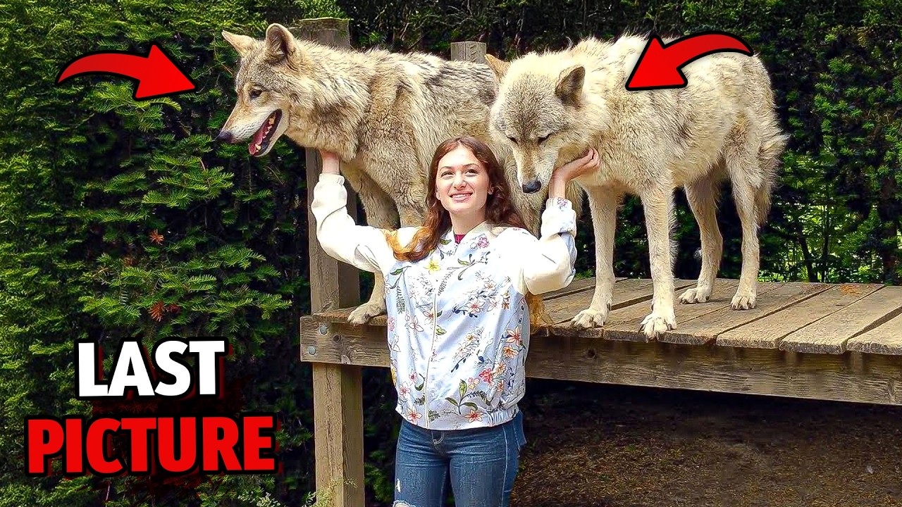 1 Hour of Most DISTURBING Deaths of Owners Killed by Their Pets...