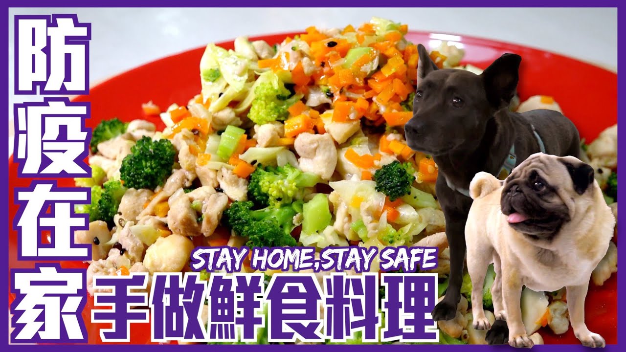 防疫在家！手做狗狗鮮食料理   跟著吃還可以瘦15公斤！｜熊爸估狗