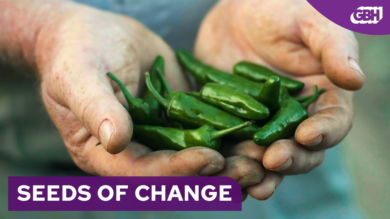 SEEDS OF CHANGE (full documentary)