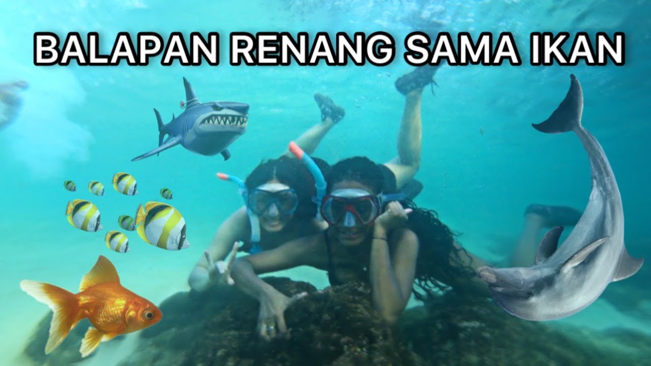 MAIN DI LAUT !!!