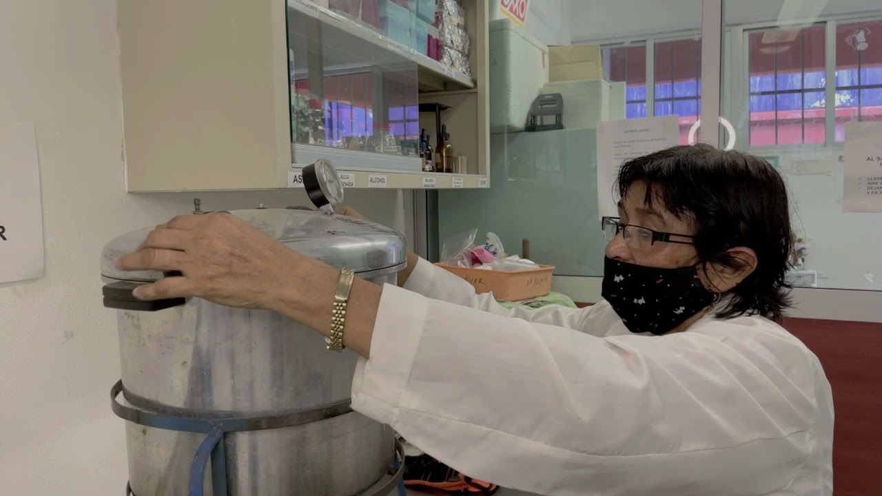 Práctica 4 microbiología: Esterilización mediante calor húmedo