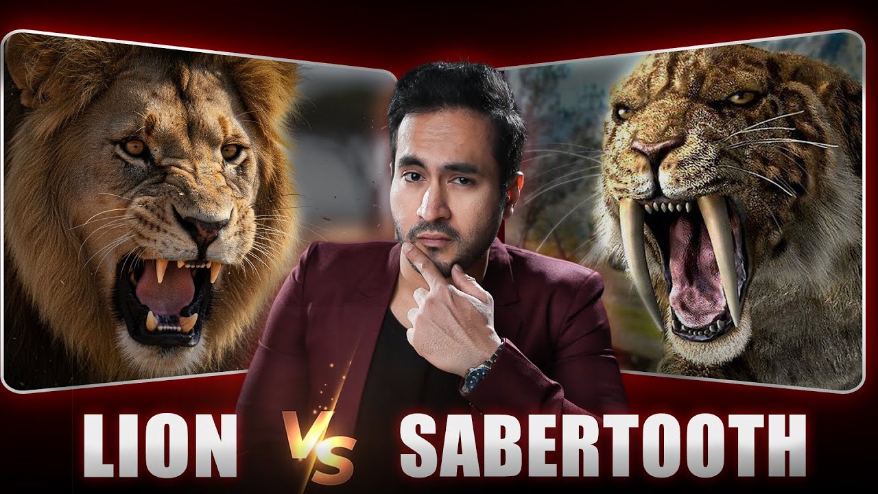 Lion vs Saber-Toothed Tiger | Who&rsquo;s Stronger?