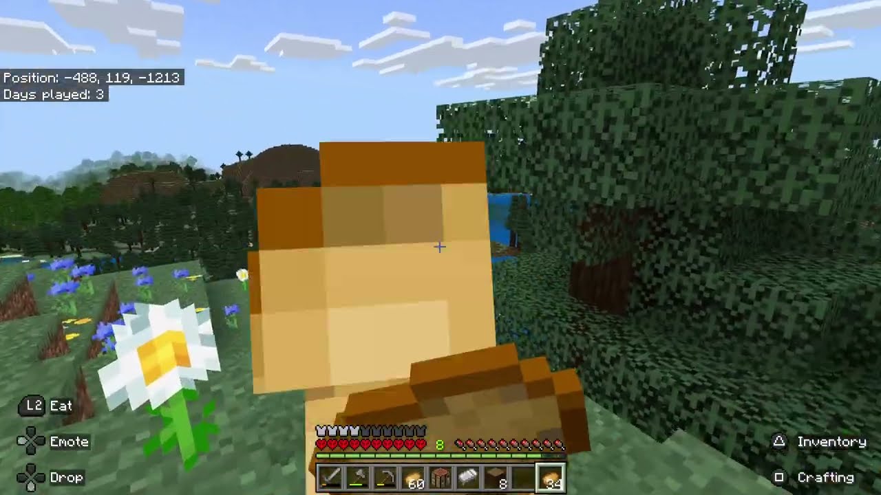 Finding a base location in the hardcore world in Minecraft