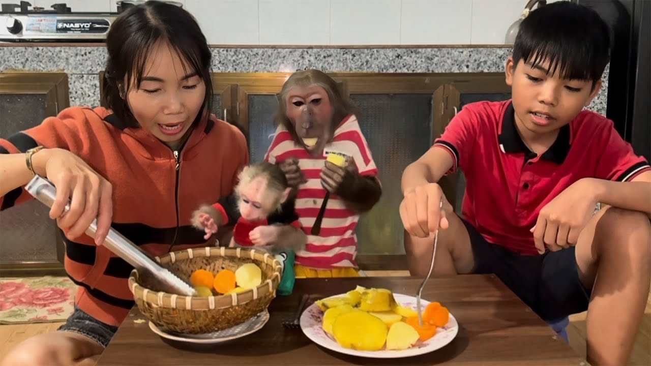 Abu and His Family Enjoy a Cozy Breakfast on a Peaceful Day