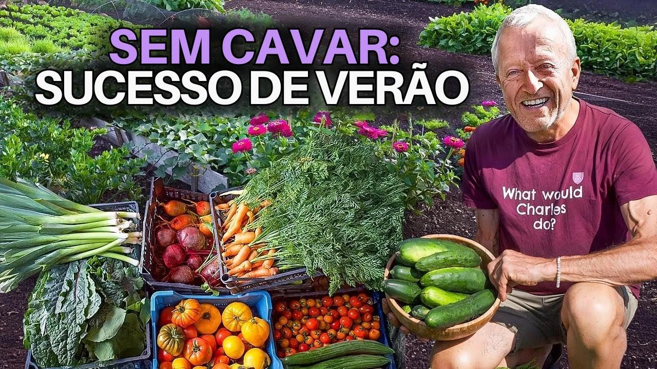 Tour pela horta sem cavar: colheitas, replantios e novidades do Homeacres