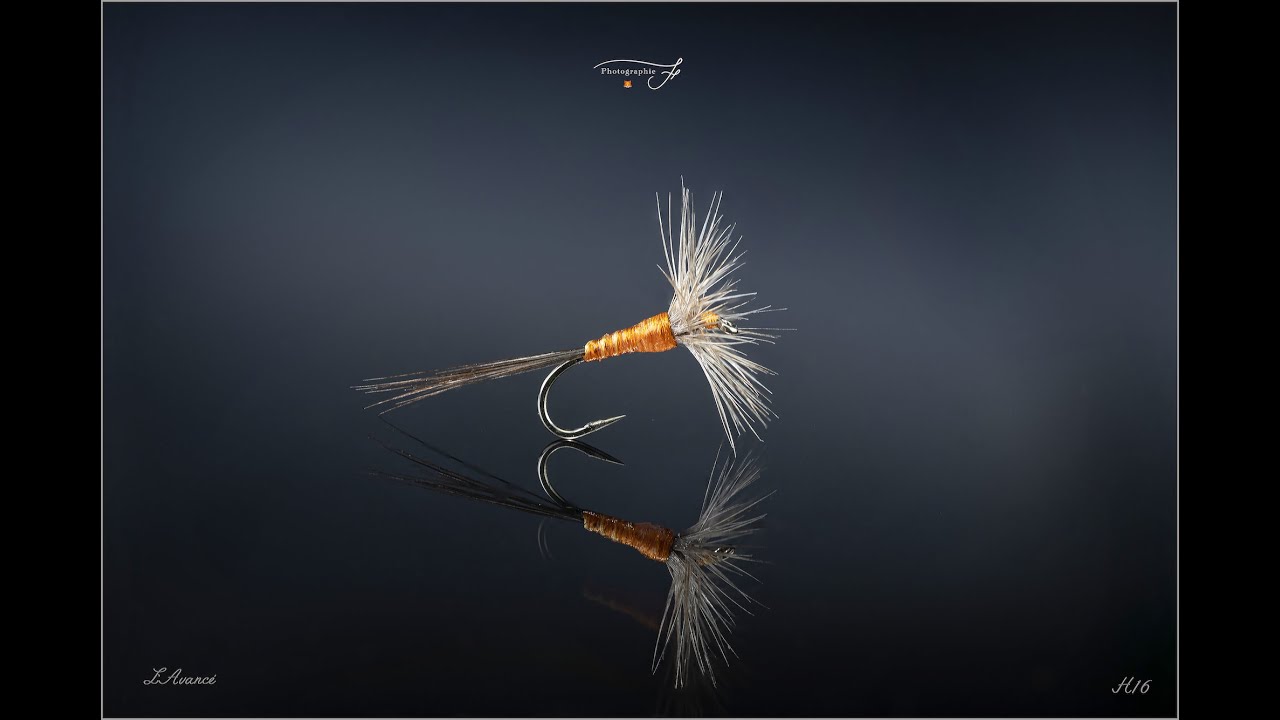 Montage Avancée (advanced editing) dry fly tying