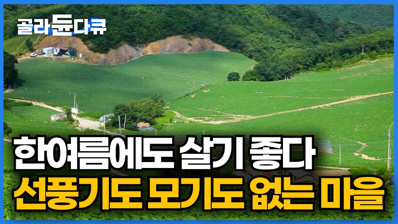 산꼭대기 오지마을의 여름나기ㅣ에어컨은 커녕 선풍기도 없는 마을 오히려 시원한 여름 나는 이유ㅣ한국기행│#골라듄다큐
